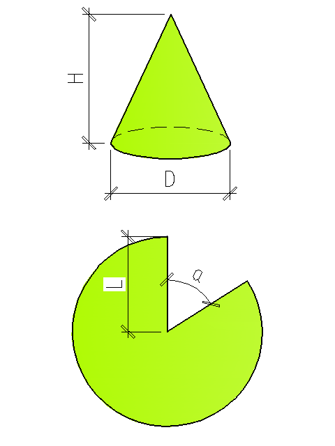 Cone, cone development 